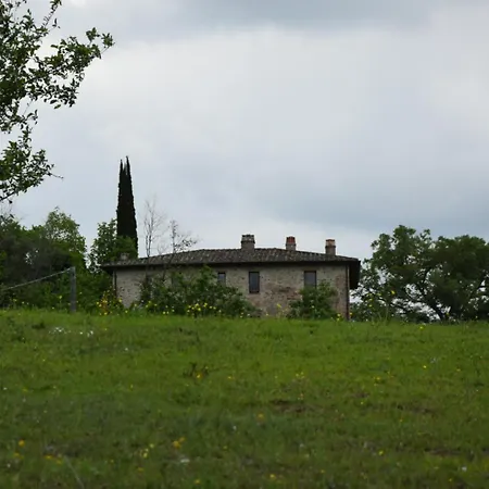 Agriturismo Il Poggio degli Scoiattoli-2
